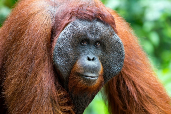 indonez-fototura_05
