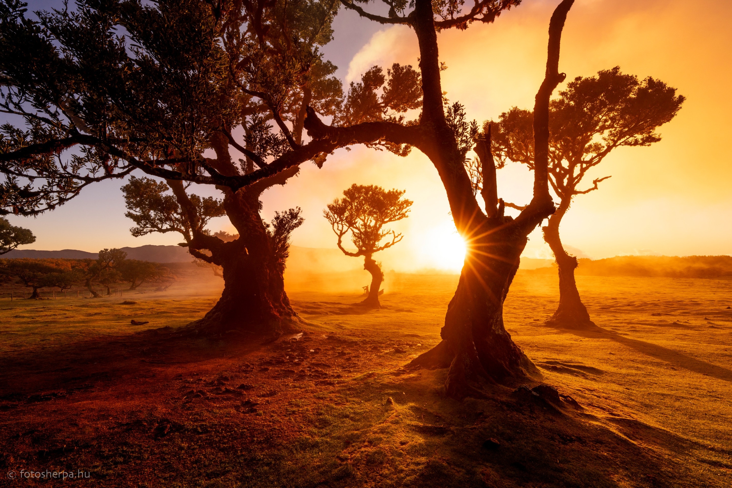 Madeira fotótúra 2026 ősz